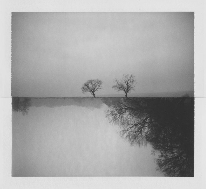 Winter Trees Oxfordshire 2020 By Cyrus Mahboubian