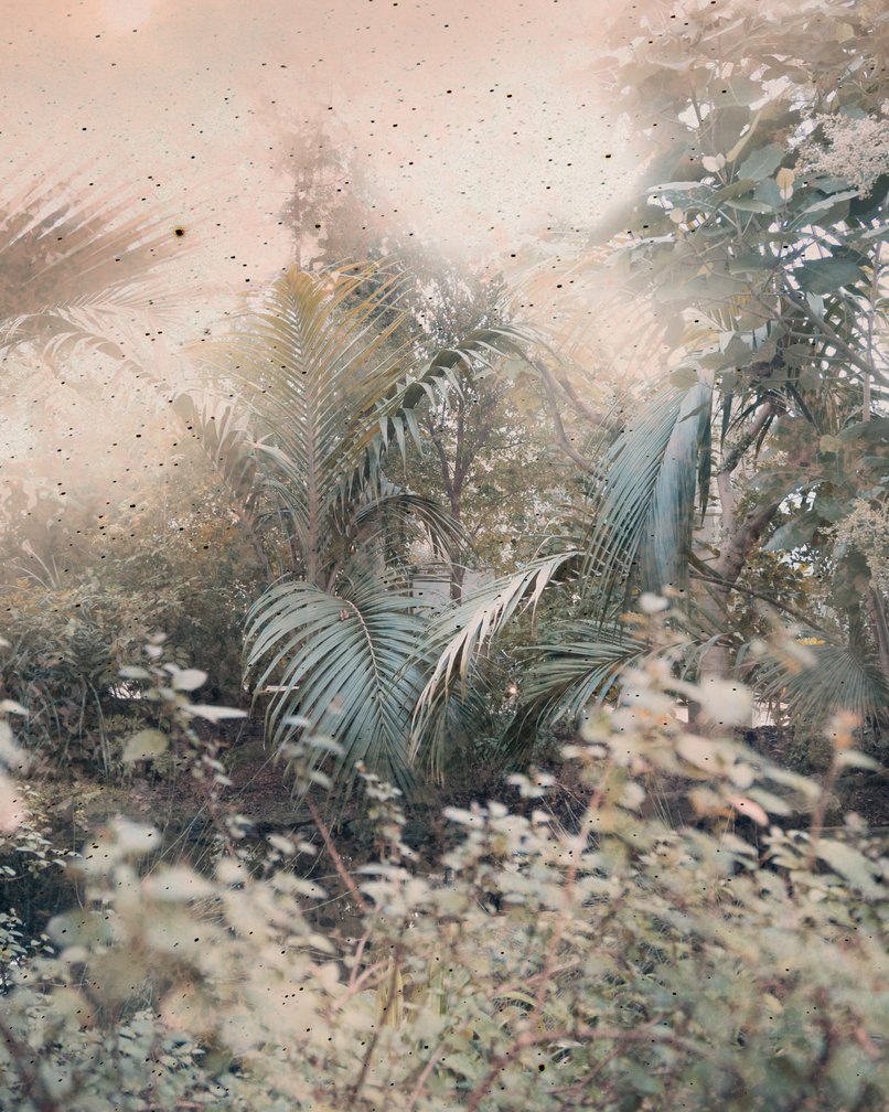 Temperate Room Photograph Kristina Chan