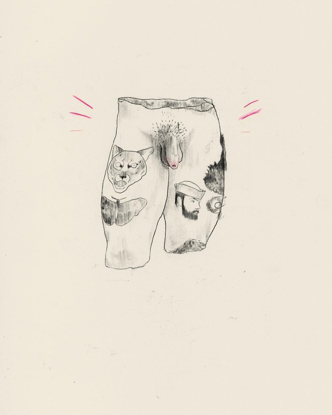 Gaptooth Study